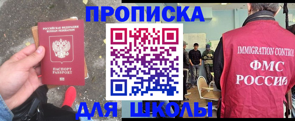 где прописаться в Димитровграде